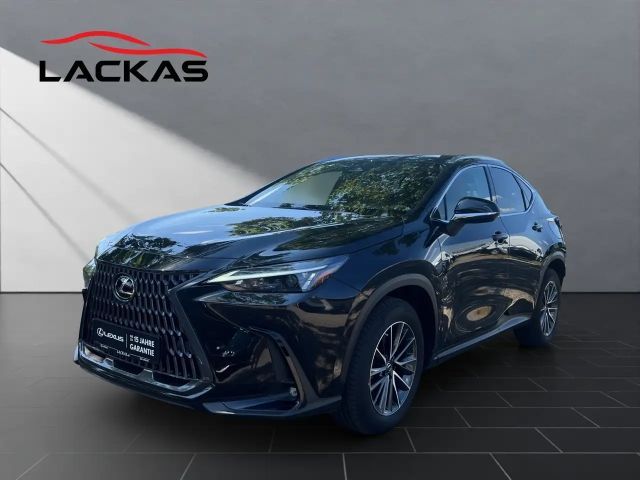 Lexus NX 450h+ + BUSINESS 4x4 1HD NAVI CARPLAY 2022 Hybride / Benzine