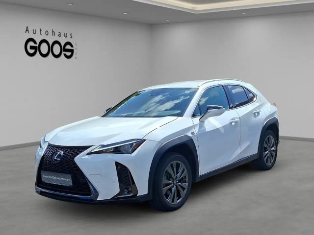 Lexus UX 250h Navi LED Dyn. Kurvenlicht ACC Apple CarPlay Androi 2023 Hybride / Benzine