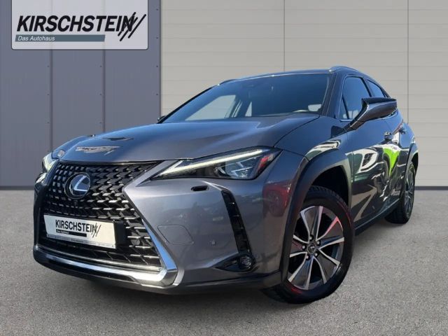Lexus UX 300e Luxury Head-Up Kamera Navi Leder Sitzklima 2022 Elektrisch
