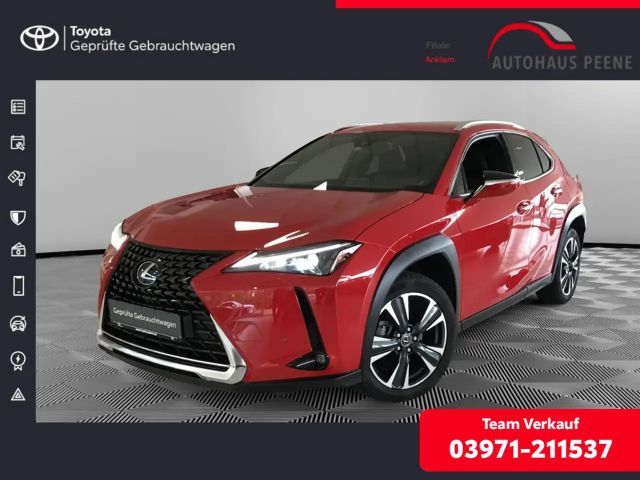 Lexus UX 250h Style Edition PDC SHZ KAMERA ACC LED 2024 Hybride / Benzine