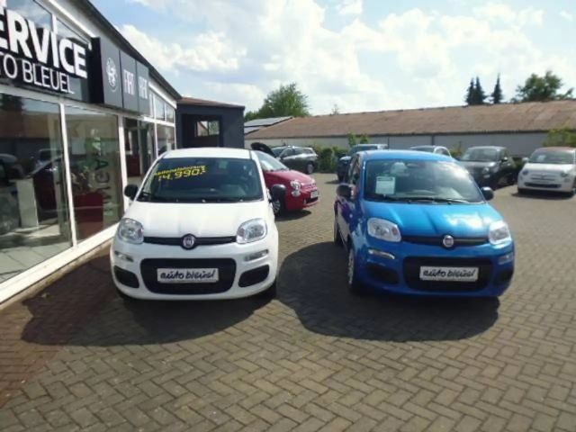 Fiat Pandina