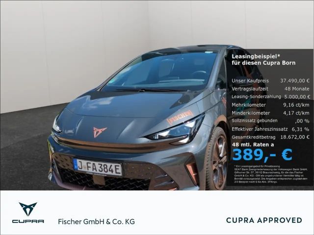 Cupra Born LED Navi SHZ Rear View ACC AHK für Fahrradträger 2026 Elektrisch