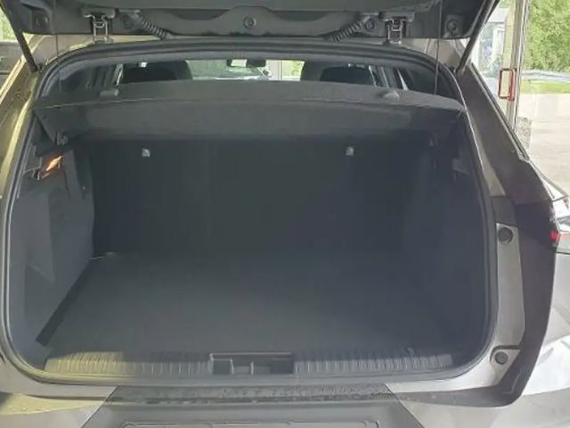 Mitsubishi Grandis