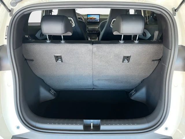 BYD Dolphin Surf