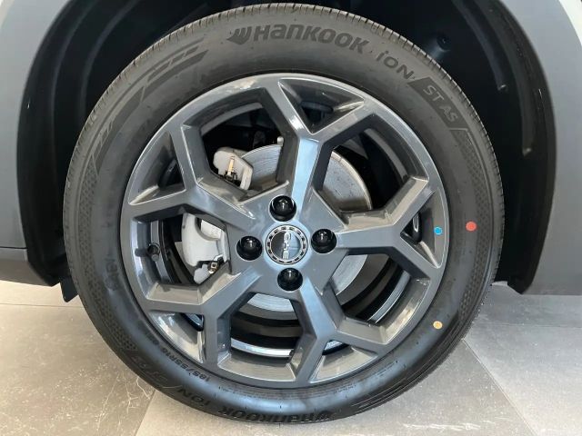 BYD Dolphin Surf