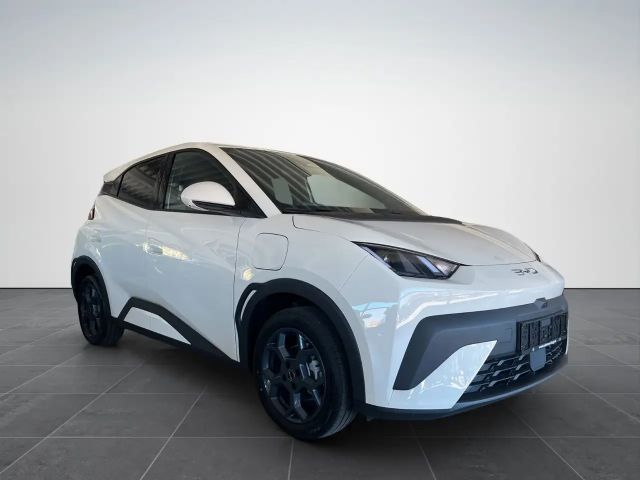 BYD Dolphin Surf