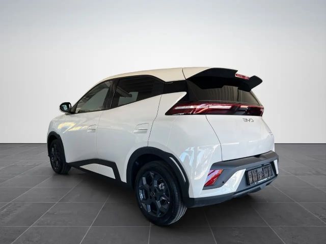 BYD Dolphin Surf