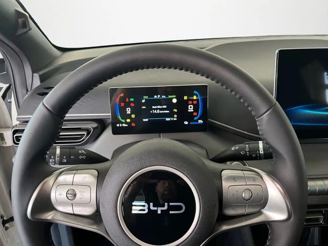 BYD Dolphin Surf