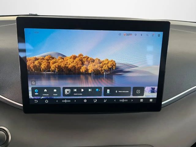 BYD Dolphin Surf