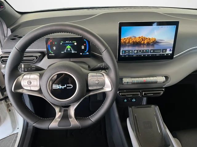BYD Dolphin Surf
