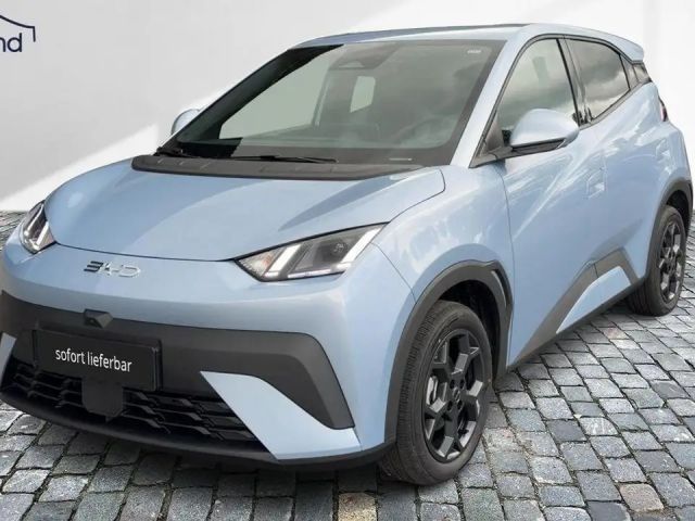 BYD Dolphin Surf