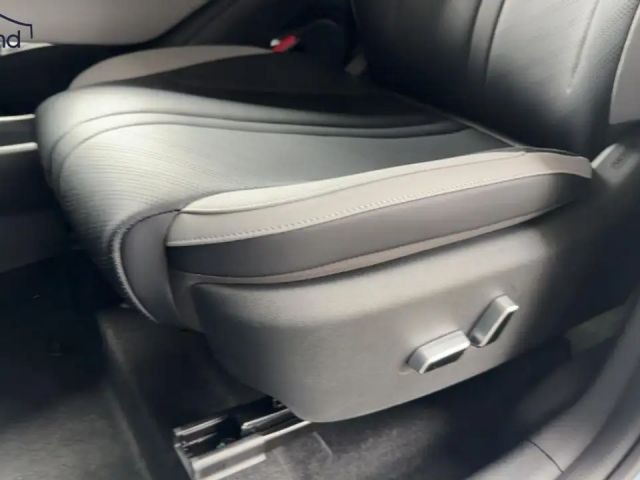 BYD Dolphin Surf