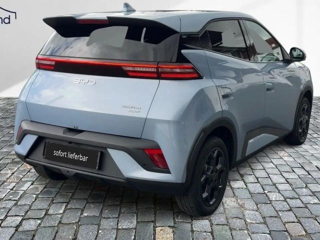 BYD Dolphin Surf