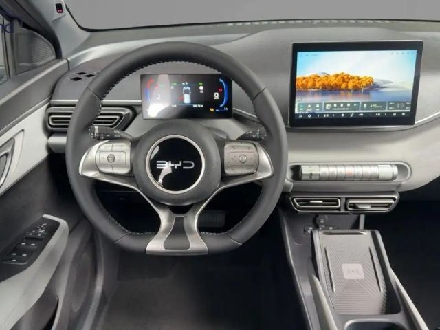 BYD Dolphin Surf