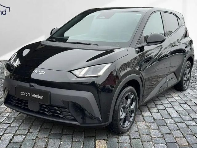 BYD Dolphin Surf