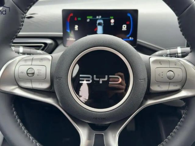 BYD Dolphin Surf