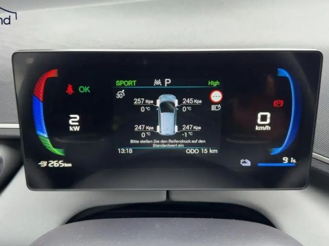 BYD Dolphin Surf