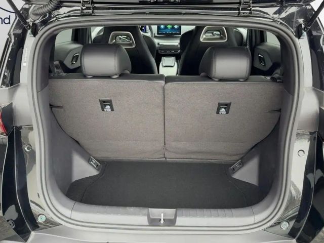 BYD Dolphin Surf