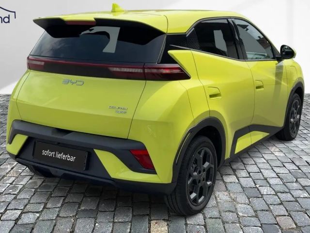 BYD Dolphin Surf