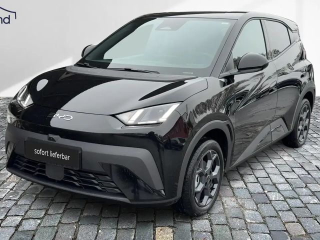 BYD Dolphin Surf