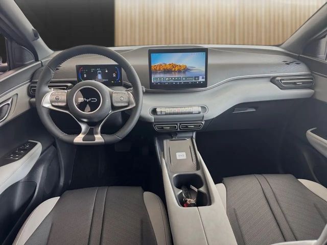 BYD Dolphin Surf