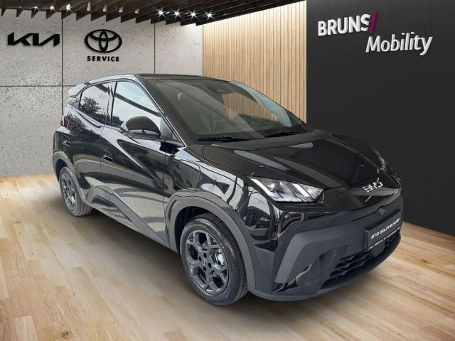 BYD Dolphin Surf