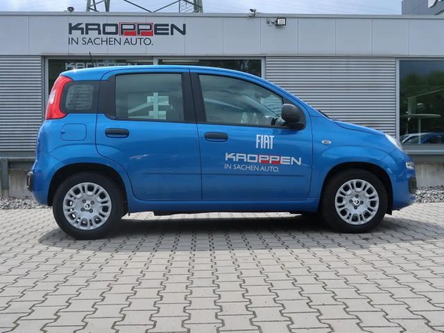 Fiat New Panda