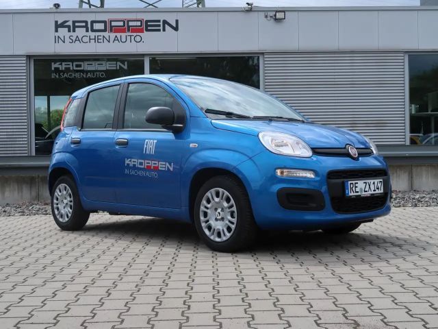 Fiat New Panda