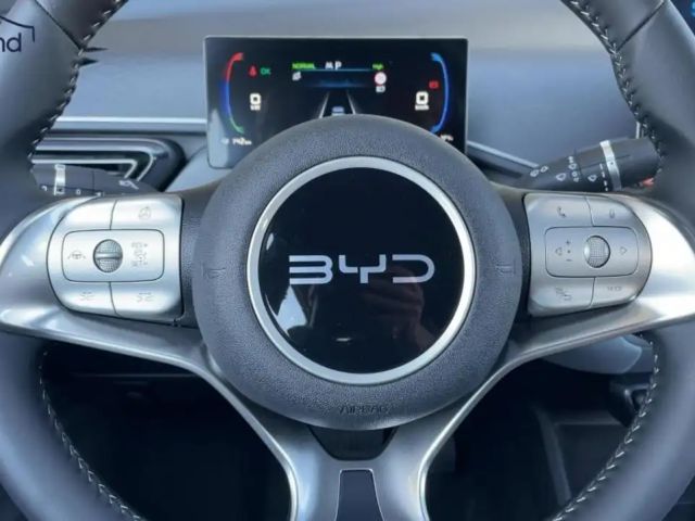 BYD Dolphin Surf