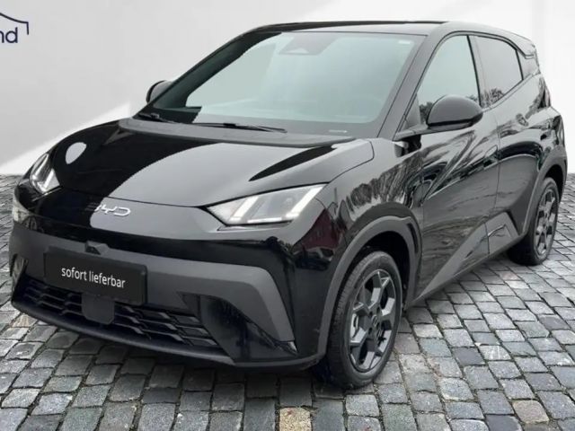 BYD Dolphin Surf