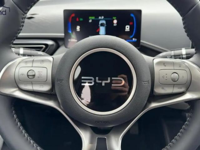 BYD Dolphin Surf