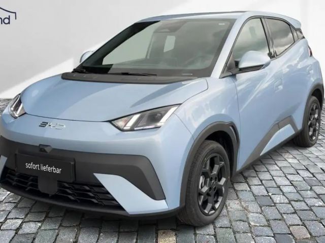 BYD Dolphin Surf