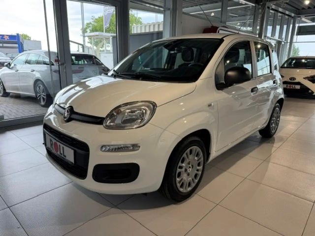 Fiat Pandina