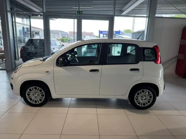 Fiat Pandina