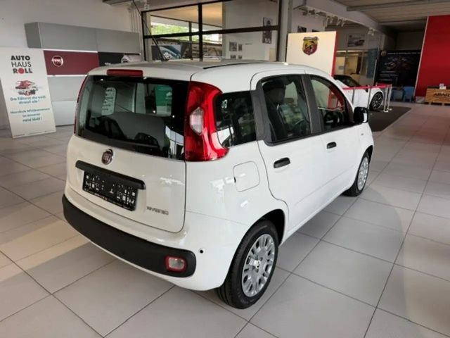 Fiat Pandina