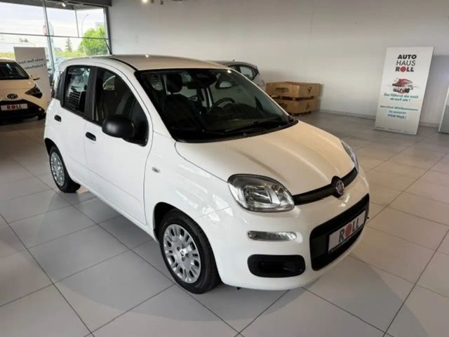 Fiat Pandina