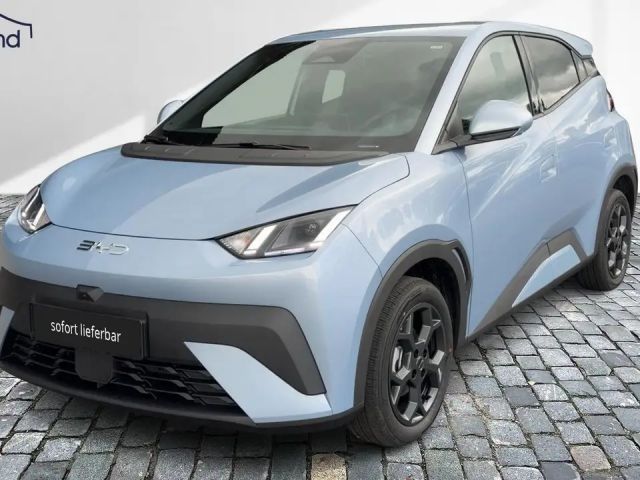BYD Dolphin Surf