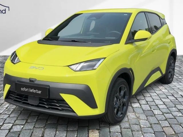 BYD Dolphin Surf