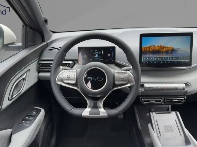 BYD Dolphin Surf
