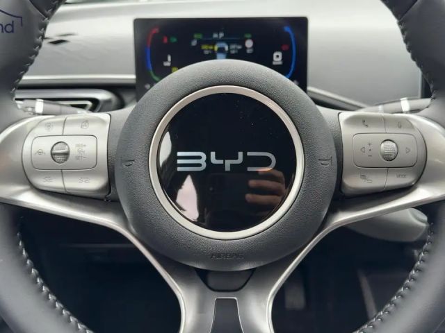 BYD Dolphin Surf