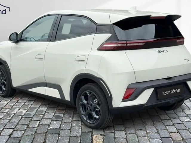 BYD Dolphin Surf