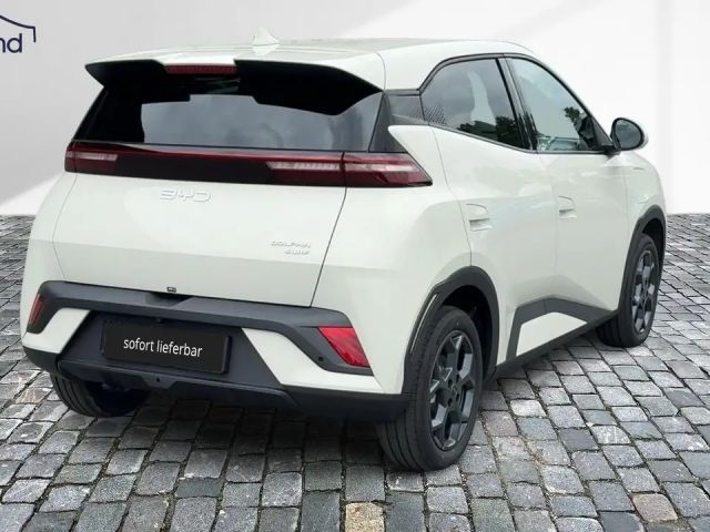 BYD Dolphin Surf