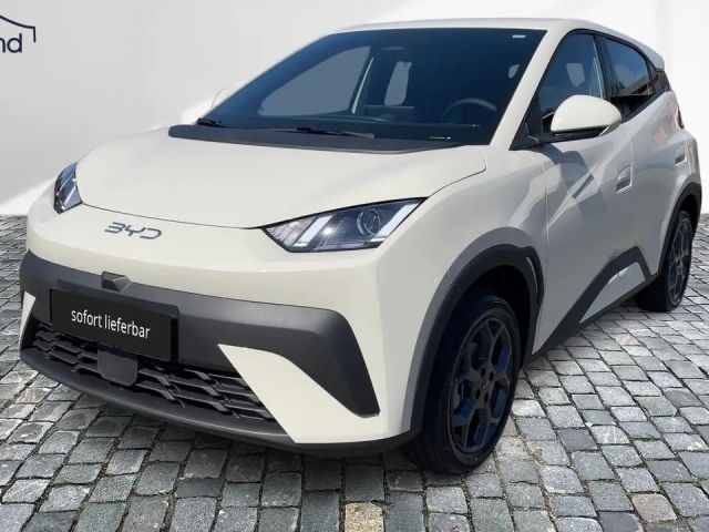 BYD Dolphin Surf