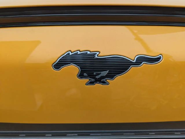 Ford Mustang Mach-E