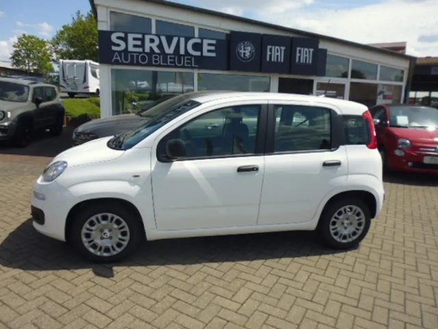 Fiat Pandina