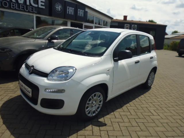 Fiat Pandina