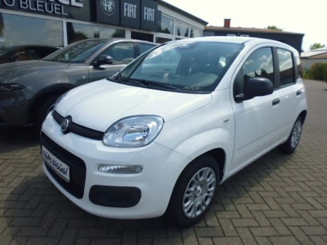 Fiat Pandina