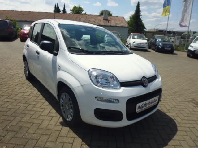 Fiat Pandina