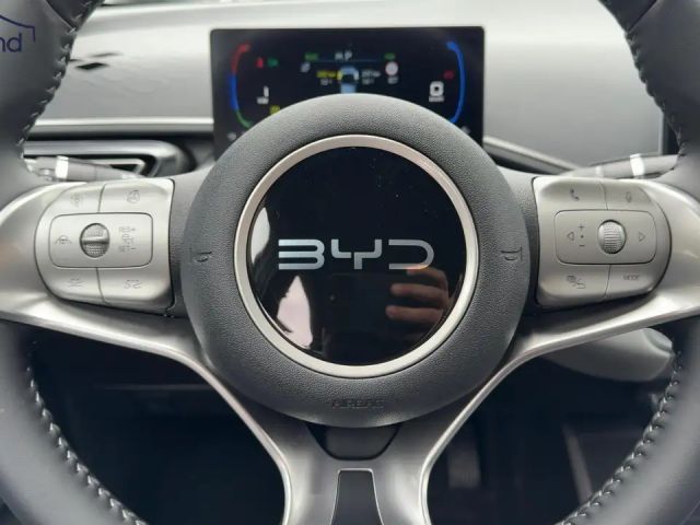 BYD Dolphin Surf
