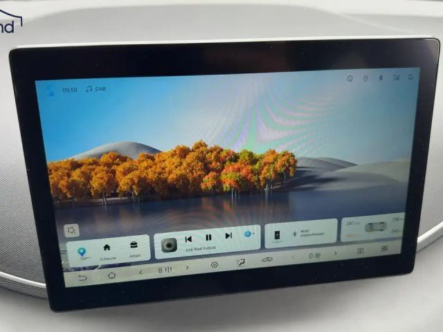 BYD Dolphin Surf
